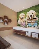 Pet Care